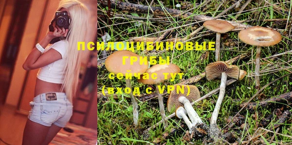 шишки Липки