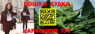 амф Новозыбков