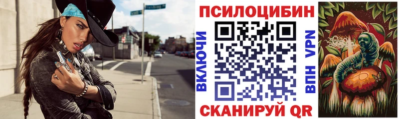 Галлюциногенные грибы Psilocybine cubensis  Темрюк 