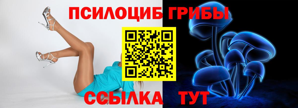 Псилоцибиновые грибы мицелий  сколько стоит  Темрюк  Вход с VPN 